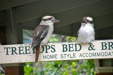 Treetops Bed & Breakfast Blackburn Zewnętrze zdjęcie
