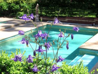 Treetops Bed & Breakfast Blackburn Zewnętrze zdjęcie
